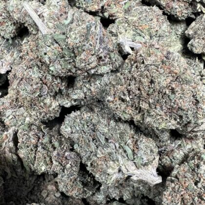 Gas Face Licensed Dep