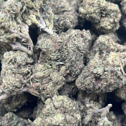 Frosted Runtz Licensed Dep
Shipped 📦:
1 lb @ 450
Last One
Candy Nose