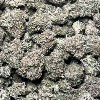 LCG Licensed Dep
Shipped 📦:
10 lbs @ 5250
5 lbs @ 2875
1 lb @ 600
1/2 lb @ 350