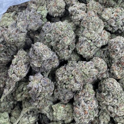 Blue gusher
$475 Intown || $525 Shipped
