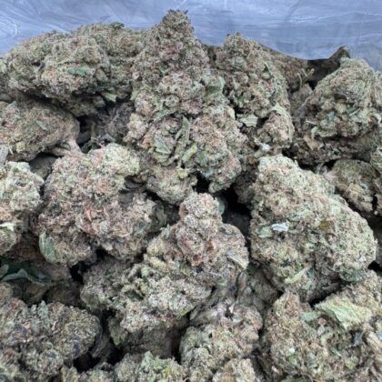 Gelato 
$325 Intown || $375 Shipped
