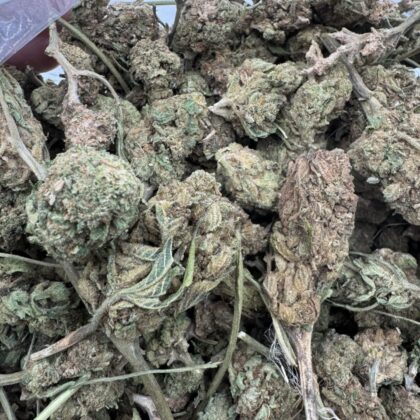 Northern lights lows 
-Shipping
1lb for $175
10lbs for $1,500
25lbs for $3,125 
50lbs for $5,500
100lbs for $10,500

intown LA
$125 per LB