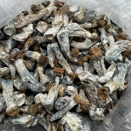 Gold halos 
$450 per LB