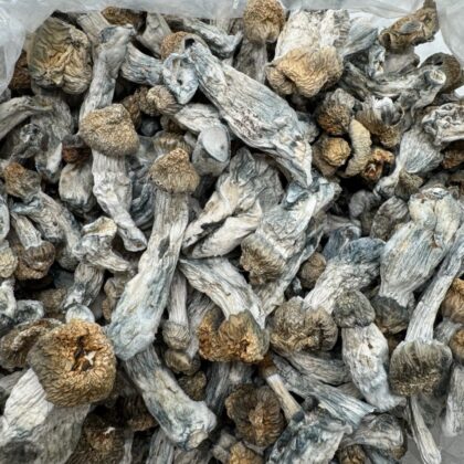 Blue meanies 
$450 per LB