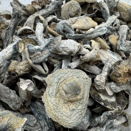 Albinos  
$450 per LB