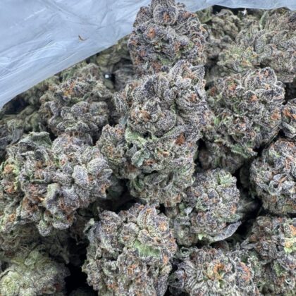 Jellybean candy
-Shipping
$500

-Intown LA
$450