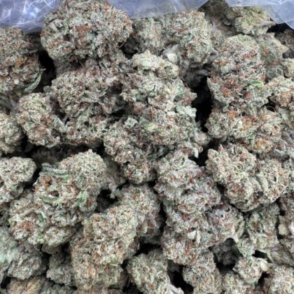 Toad venom OG 🐸🐸
(fire toad nose)
-Shipping
$500

-Intown LA
$450