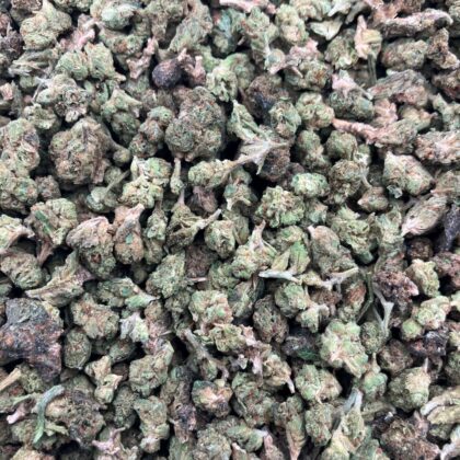 Curelato Smalls
$450 Intown || $500 Shipped
Breakdown
$300 HP
$200 QP