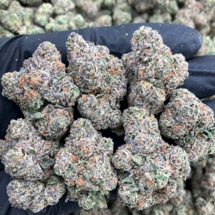 Kashmir Candy