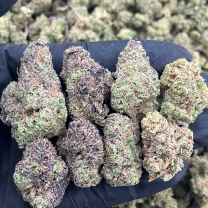 Diablo OG