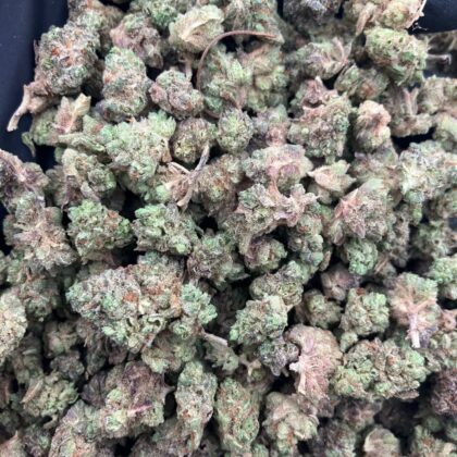 Peach & Cream Smalls