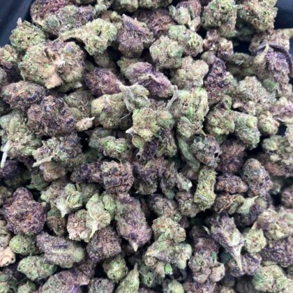 Purple Playboys