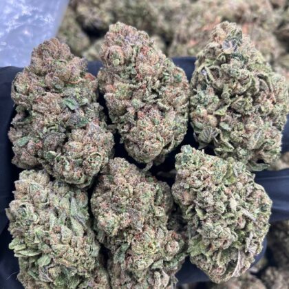 Ghost Hulk Gelato $700 Intown || $750 Shipped Breakdown $425 HP $250 QP 