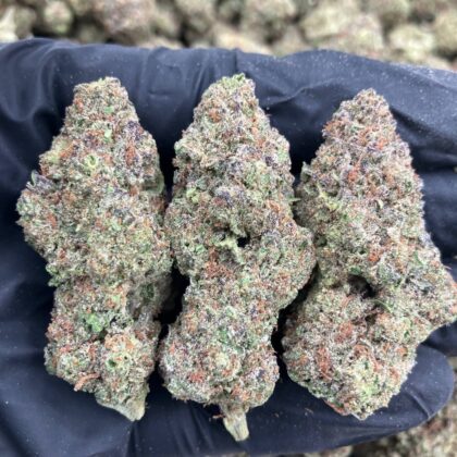 Black Cherry Pie