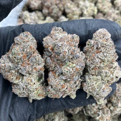 Ghost Fire Runtz