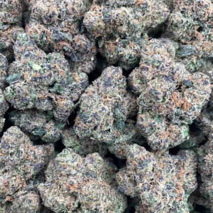 Blue Label Gelato