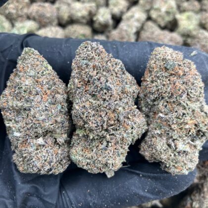 Alpine Fumez