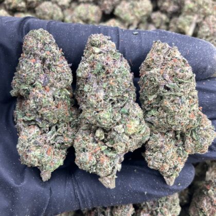 Sour Punch Gelato