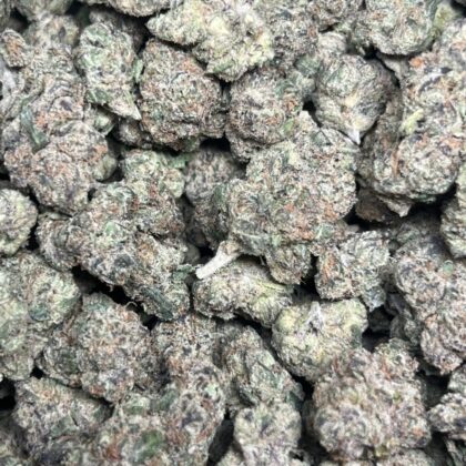 G33 Licensed Indoor