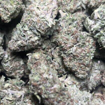 FR Licensed Dep
Shipped 📦:
10 lbs @ 5250
5 lbs @ 2875
1 lb @ 600
1/2 lb @ 350
