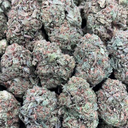 Larry Gary Gelato
$600 Intown || $650 Shipped
Breakdown
$375 HP
$250 QP
$90 Zip