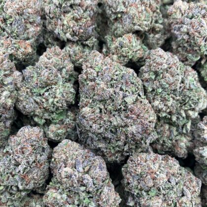 Candy Slurricane
$725 Intown || $775 Shipped
Breakdown
$425 HP
$250 QP