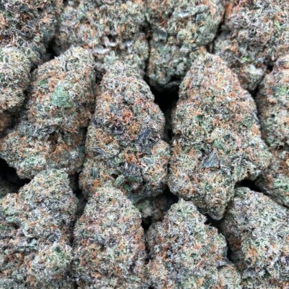 White Fire Gwala
$1000 Intown || $1050 Shipped
Breakdown
$575 HP
$350 QP