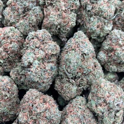 Limoncello
$550 Intown || $600 Shipped
Breakdown
$350 HP
$225 QP