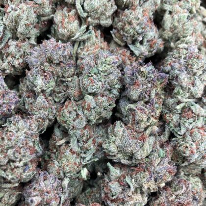 Creme Brulé
$650 Intown || $700 Shipped

Breakdown
$400 HP
$250 QP