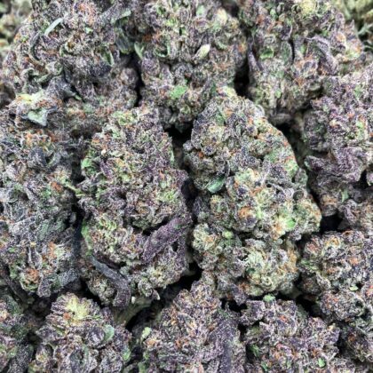 Grape Soda
$750 Intown || $800 Shipped

Breakdown
$450 HP
$275 QP