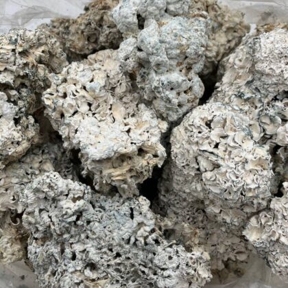 Enigmas
$650 Intown || $700 Shipped

Breakdown
$400 HP
$250 QP
$90 Zip