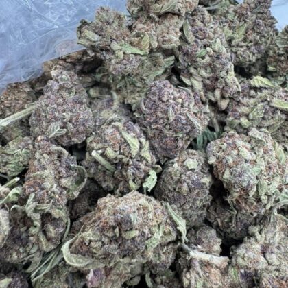 Tropic 41
$400 Intown || $450 Shipped