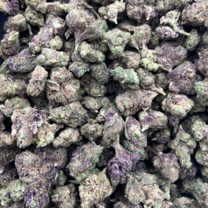 Purple Novacane