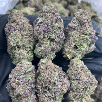 Grape Sunkist Gelato $700 Intown || $750 Shipped
Breakdown
$425 HP
$275 QP