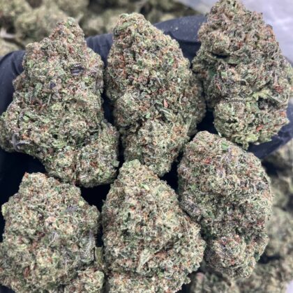 Electric Candy x Runtz