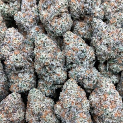 Vanilla Cream Faygo
$1000 Intown || $1050 Shipped

Breakdown
$575 HP
$325 QP