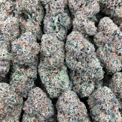 Blue Chew Runtz
$975 Intown || $1025 Shipped

Breakdown
$575 HP
$325 QP