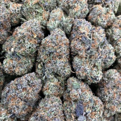 Gelato Kashmir
$1075 Intown || $1125 Shipped

Breakdown
$600 HP
$350 QP