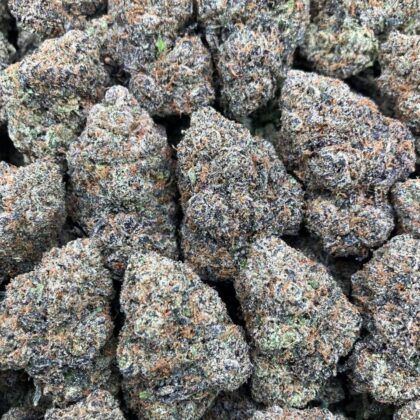 Blue Warheads
$1125 Intown || $1175 Shipped

Breakdown
$625 HP
$350 QP
$100 Zip