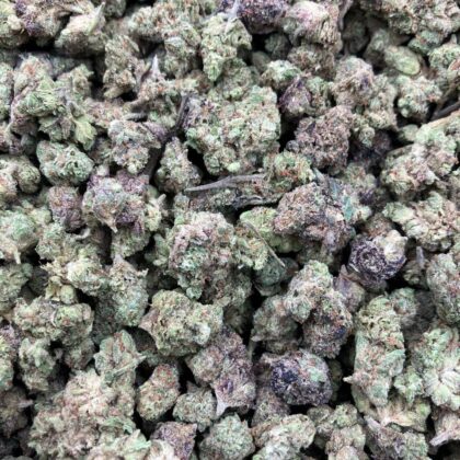 ‼️Steal Deal‼️
Gastro Pop Rocks
$675 Intown || $725 Shipped

Breakdown
$400 HP
$250 QP