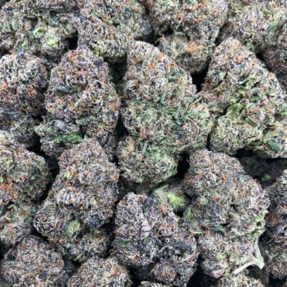 Purple Gumbo
$1100 Intown || $1150 Shipped

Breakdown
$625 HP
$375 QP