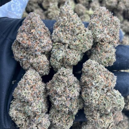 Jet Fuel Runtz
$1000 Intown || $1050 Shipped

Breakdown
$575 HP
$350 QP