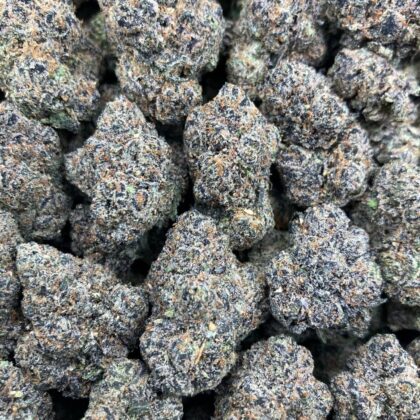 Grape Zlushie
$1175 Intown || $1225 Shipped

Breakdown
$650 HP
$375 QP