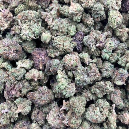 Bacio Mints
$675 Intown || $725 Shipped

Breakdown
$400 HP
$250 QP