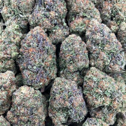 Passion Fruit Sherbet
$650 Intown || $700 Shipped

Breakdown
$400 HP
$250 QP