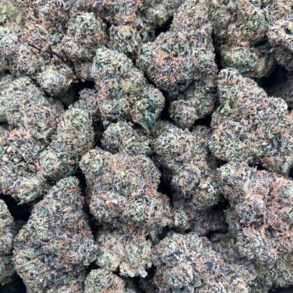 Grape Crush Gelato
$975 Intown || $1025 Shipped

Breakdown
$550 HP
